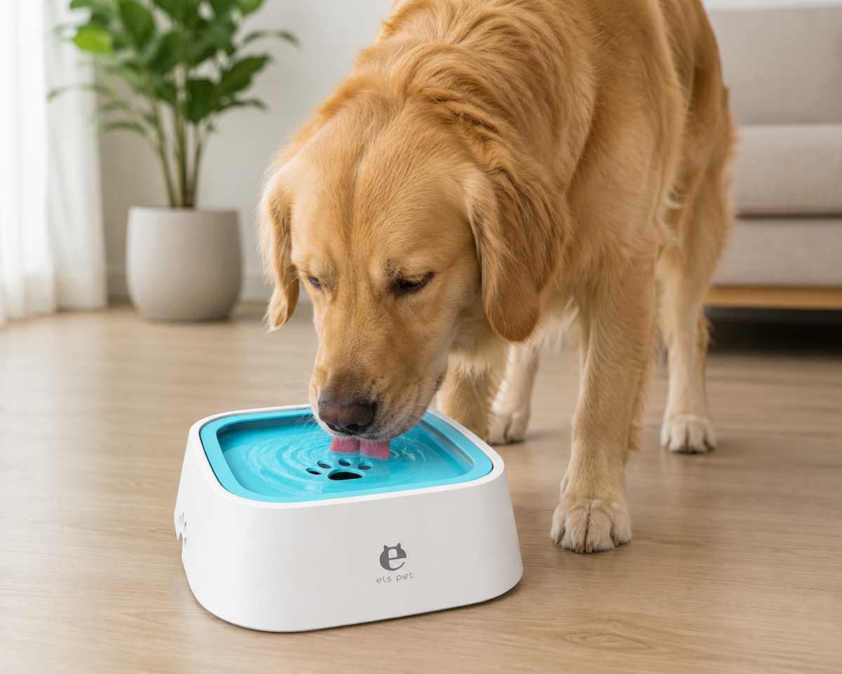 1.5L No-Spill Dog & Cat Water Bowl – Slow Drinking Floating Pet Water Feeder