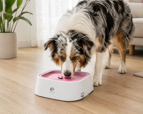 1.5L No-Spill Dog & Cat Water Bowl – Slow Drinking Floating Pet Water Feeder