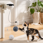 Electric Pet Nail Grinder & Clippers – Dog & Cat Nail Trimmer with LED Light